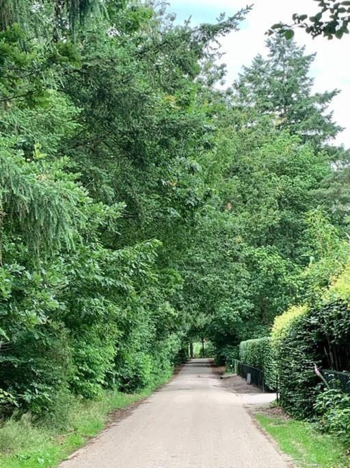 Op Boszicht Genieten Van De Rust & Natuur 皮滕 外观 照片