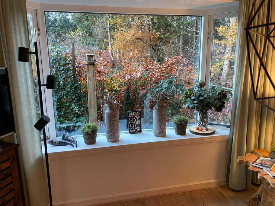 Op Boszicht Genieten Van De Rust & Natuur 皮滕 外观 照片