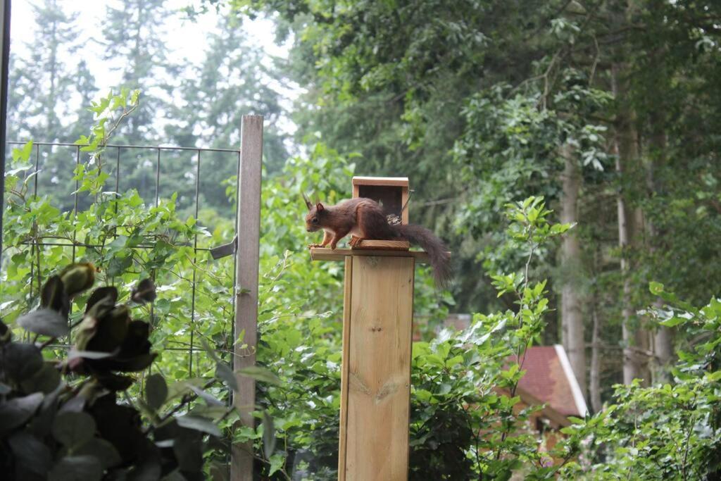 Op Boszicht Genieten Van De Rust & Natuur 皮滕 外观 照片